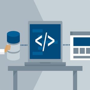 PHP & MySQL with MVC Frameworks Training