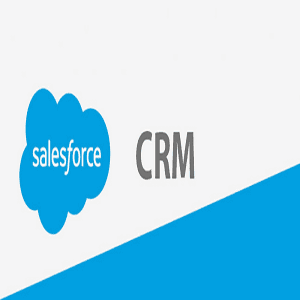 CRM Salesforce for Beginners Course